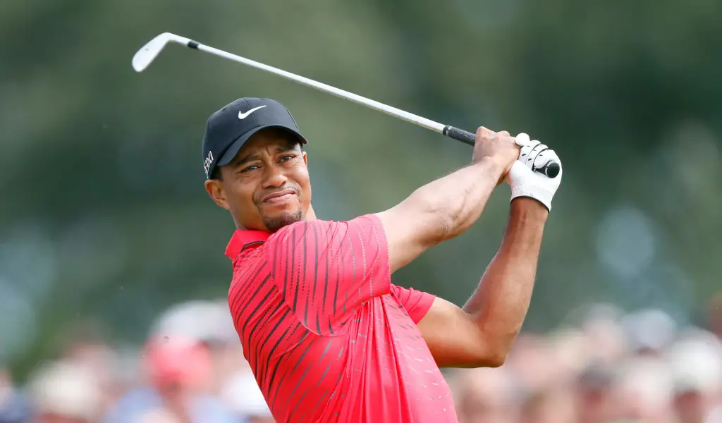 What grips does Tiger use 0011