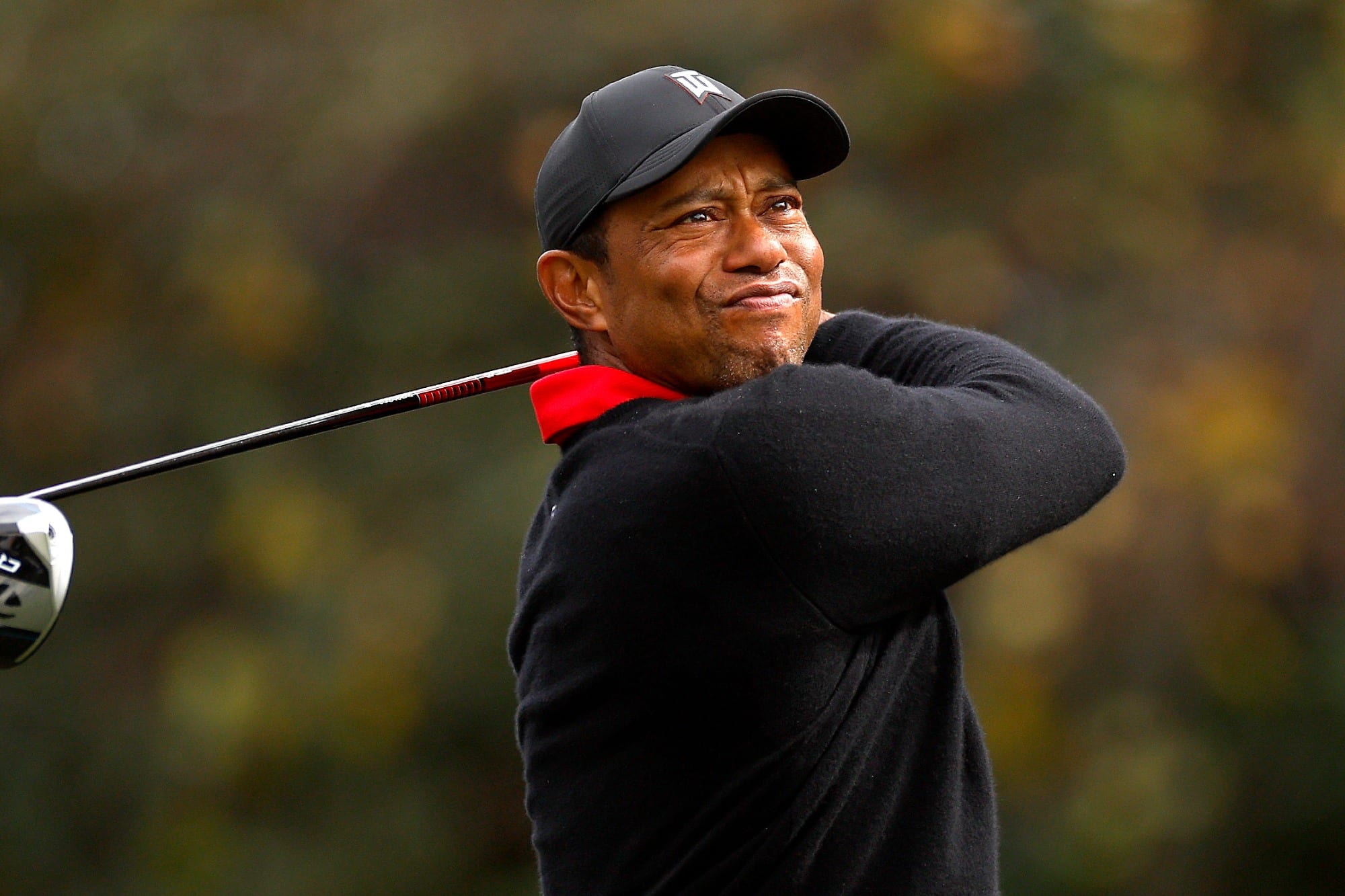 What grips does Tiger use 0013