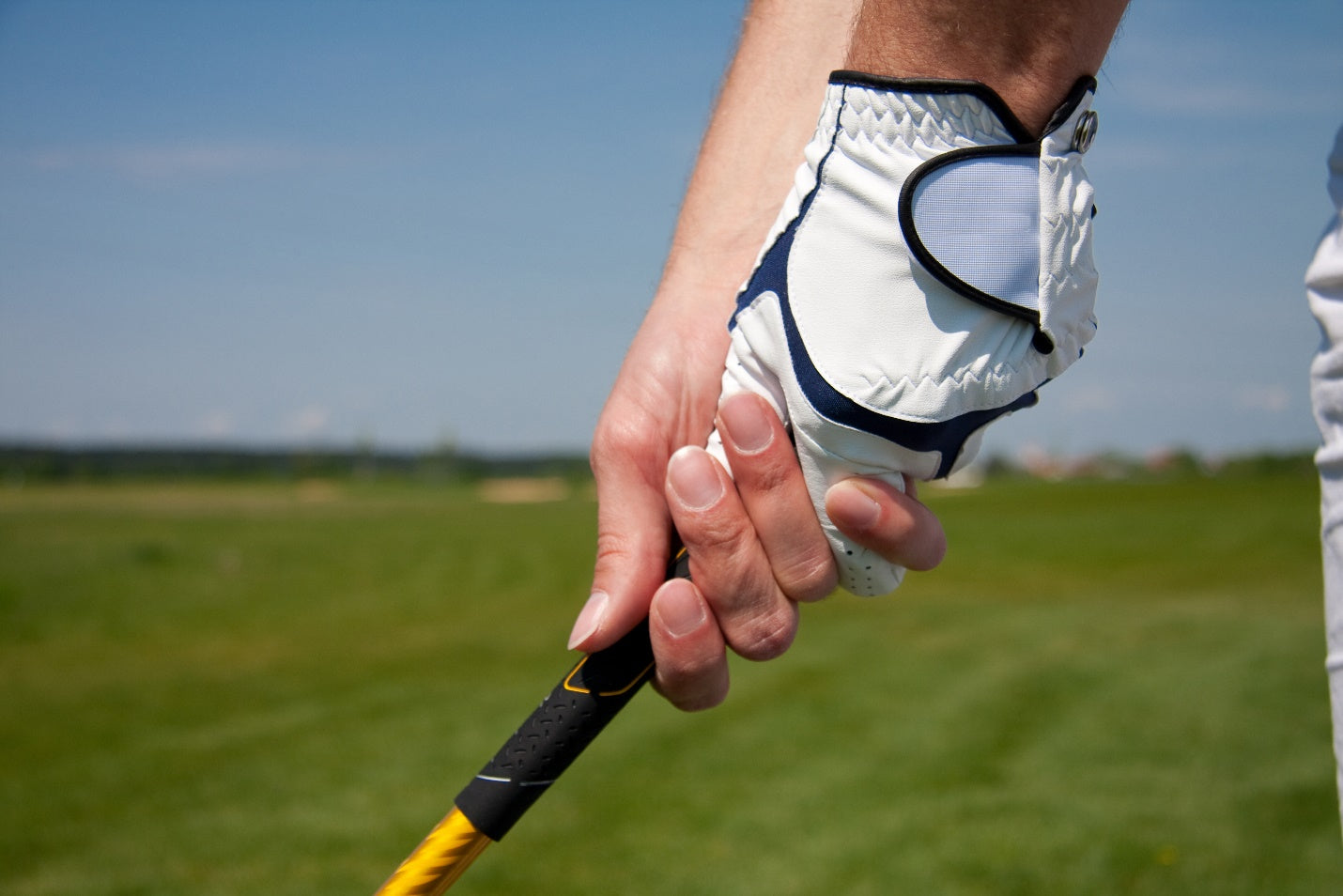 What grips does Tiger use 0019