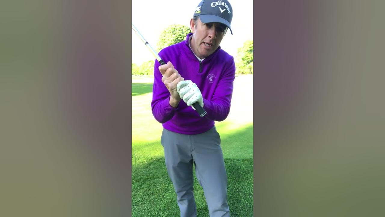 What grips does Tiger use 0024