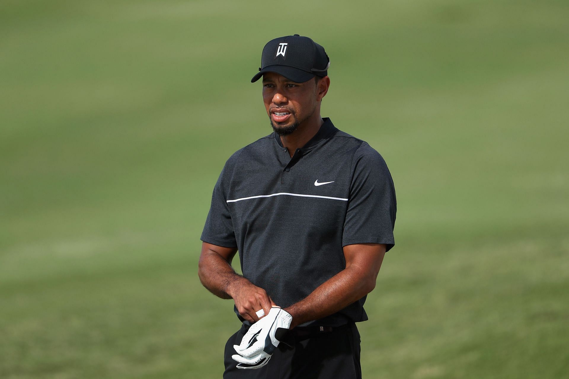 What grips does Tiger use 0031