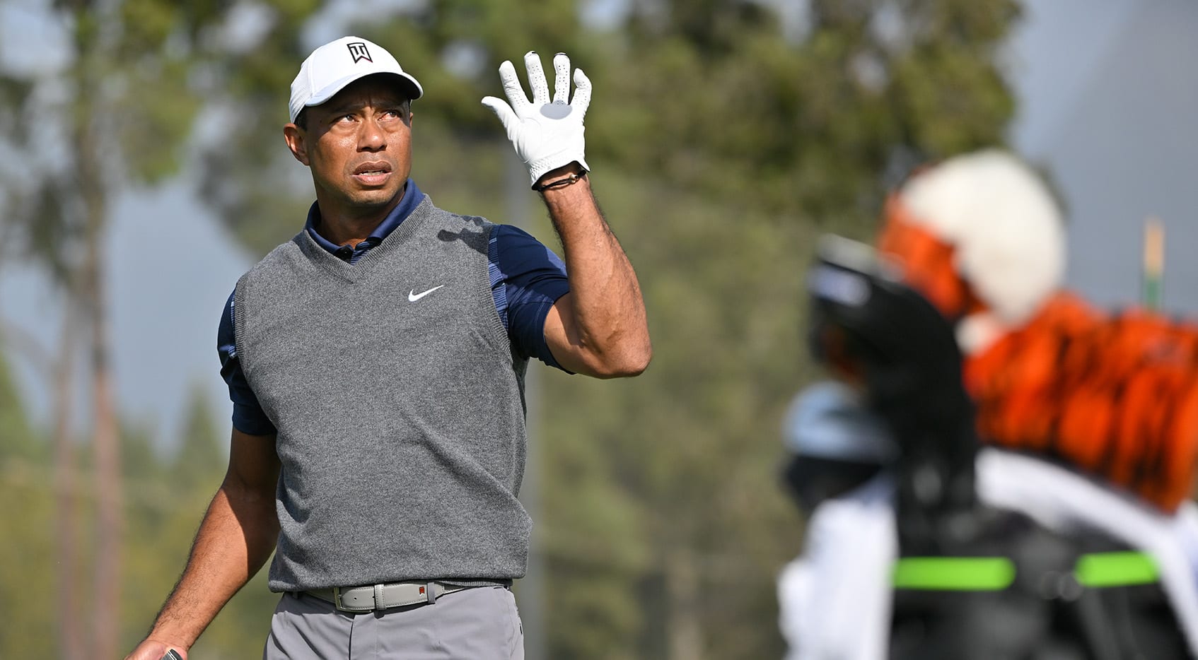 What grips does Tiger use 0033