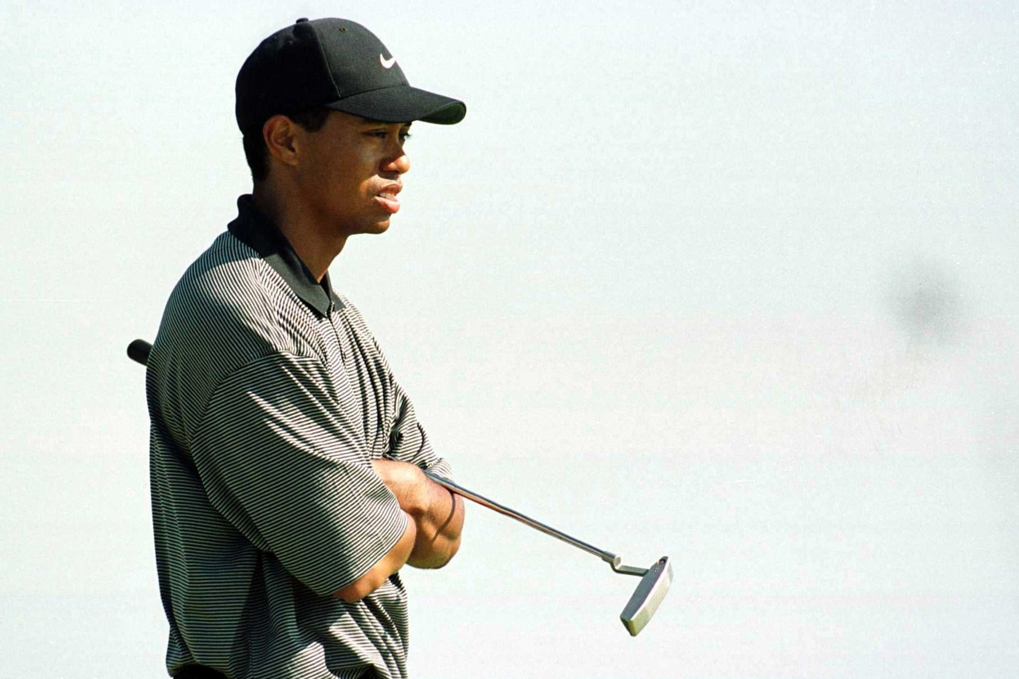 What grips does Tiger use 0035