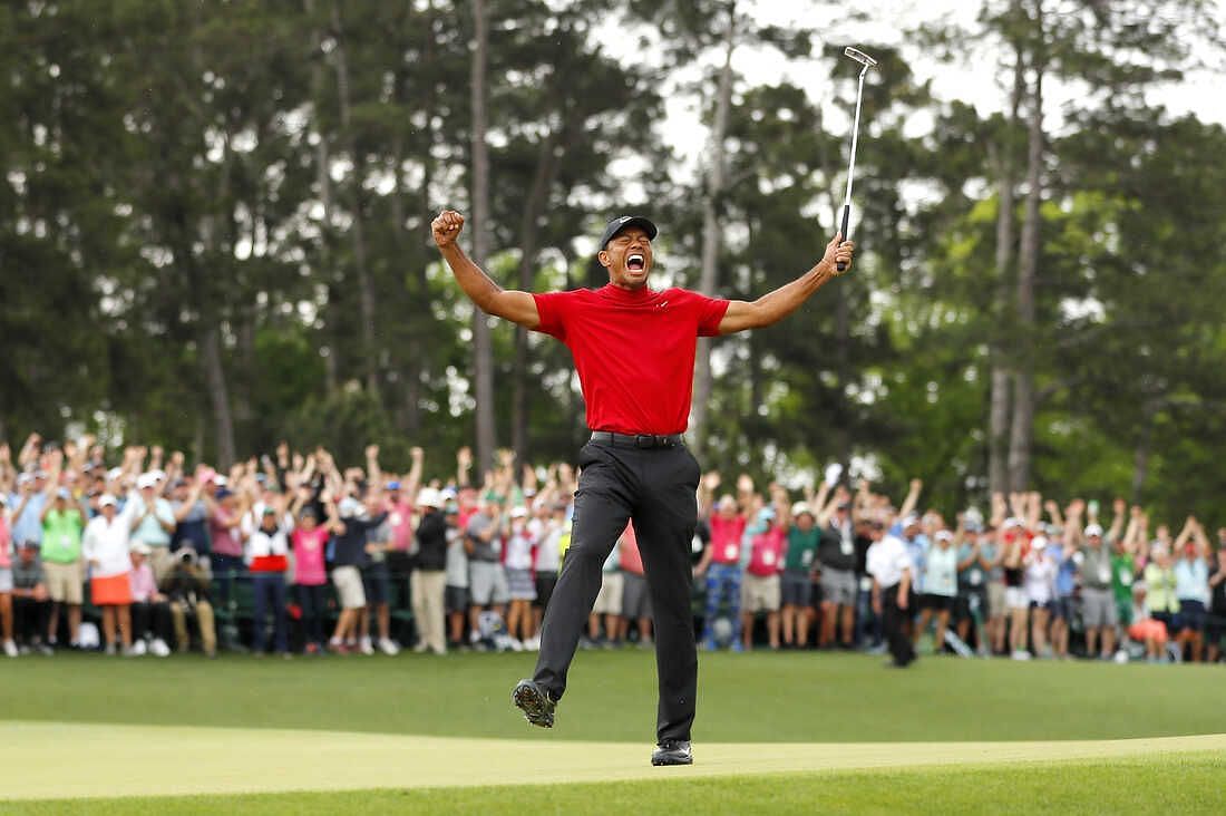 What grips does Tiger use 0041