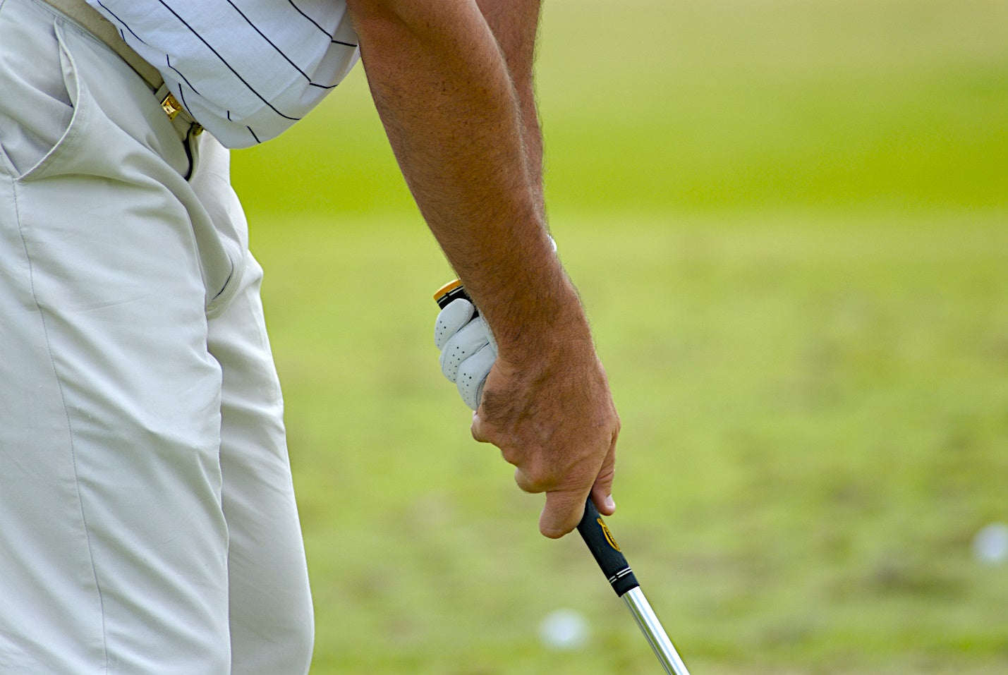 What grips does Tiger use 0045