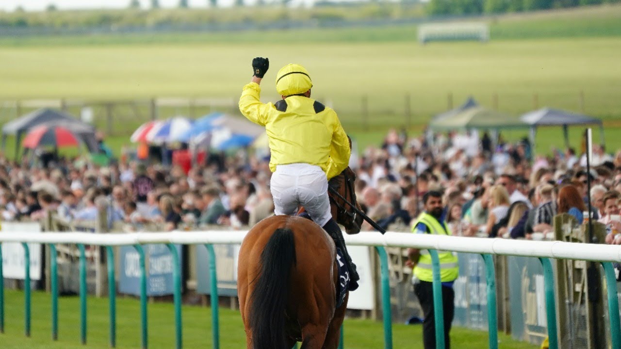 what is 1000 guineas 0015