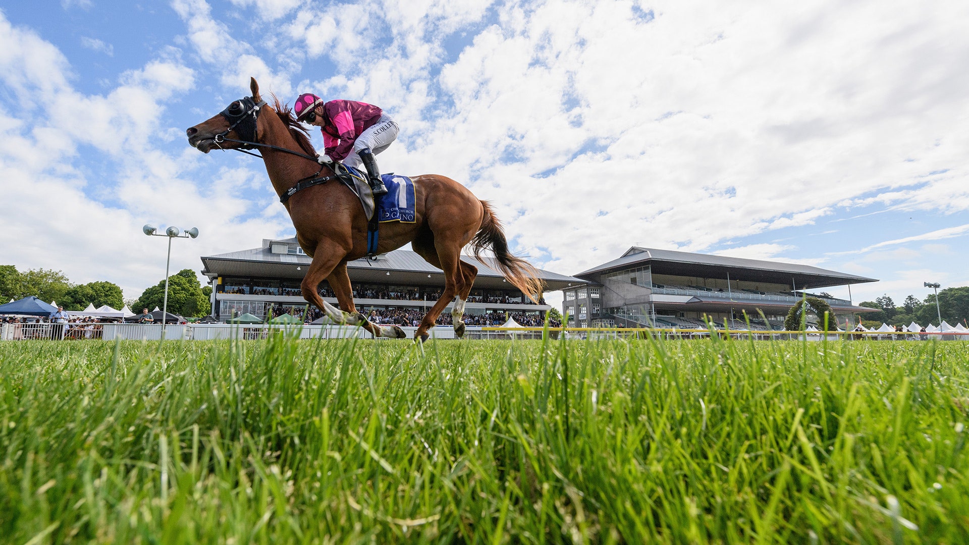 what is 1000 guineas 0016