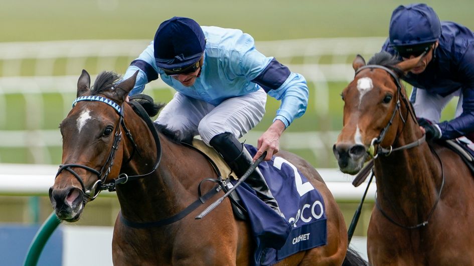 what is 1000 guineas 0017