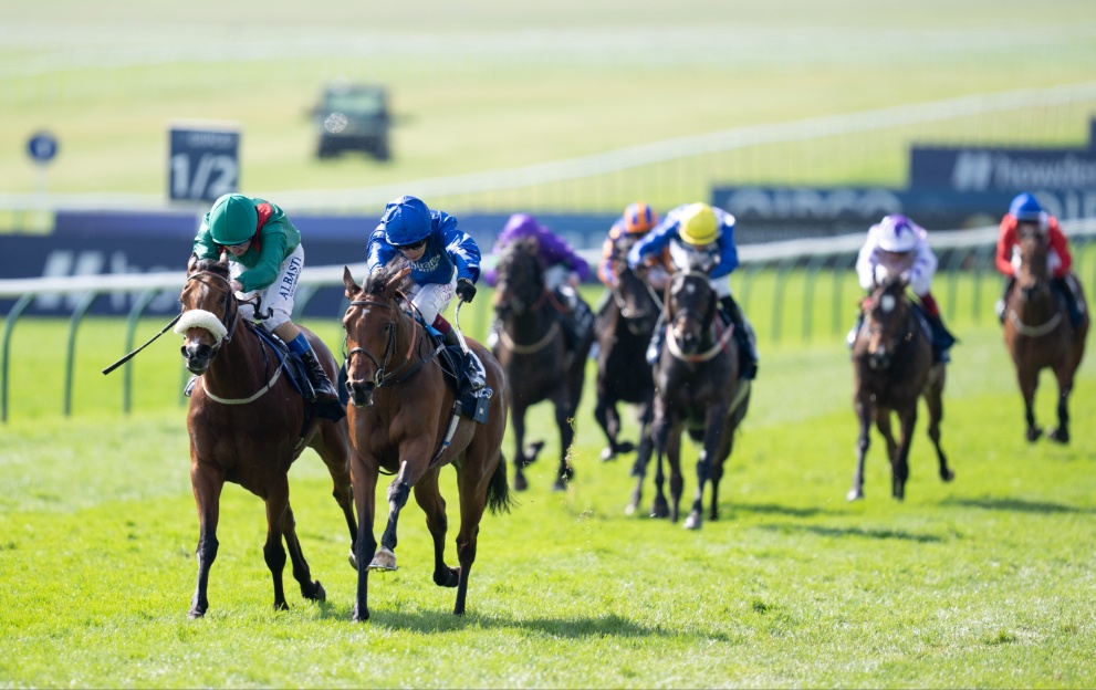 what is 1000 guineas 0020