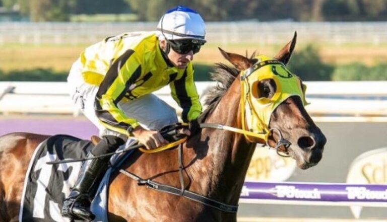 what is 1000 guineas 0021