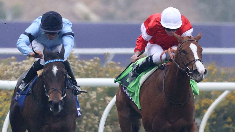 what is 1000 guineas 0023