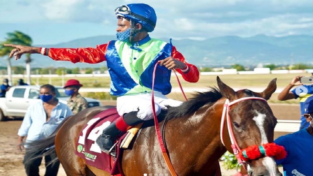 what is 1000 guineas 0031