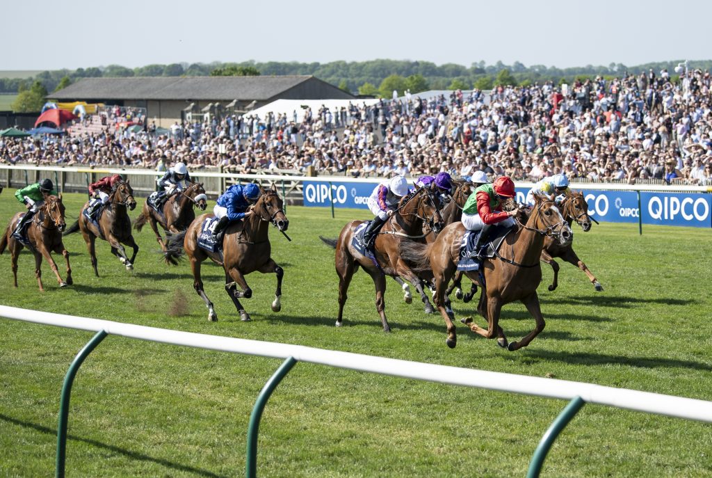 what is 1000 guineas 0033