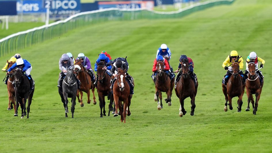 what is 1000 guineas 0040