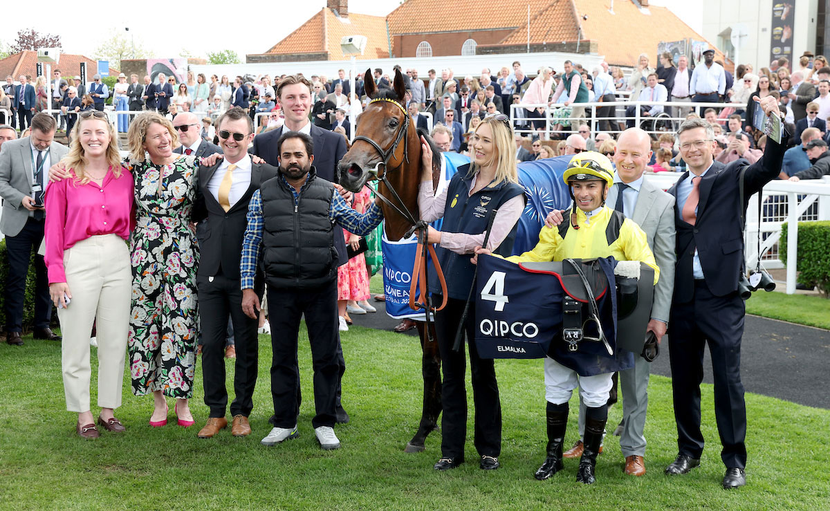 what is 1000 guineas 0044