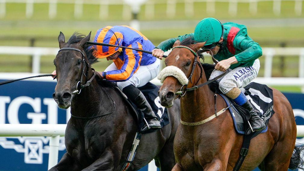what is 1000 guineas 0047