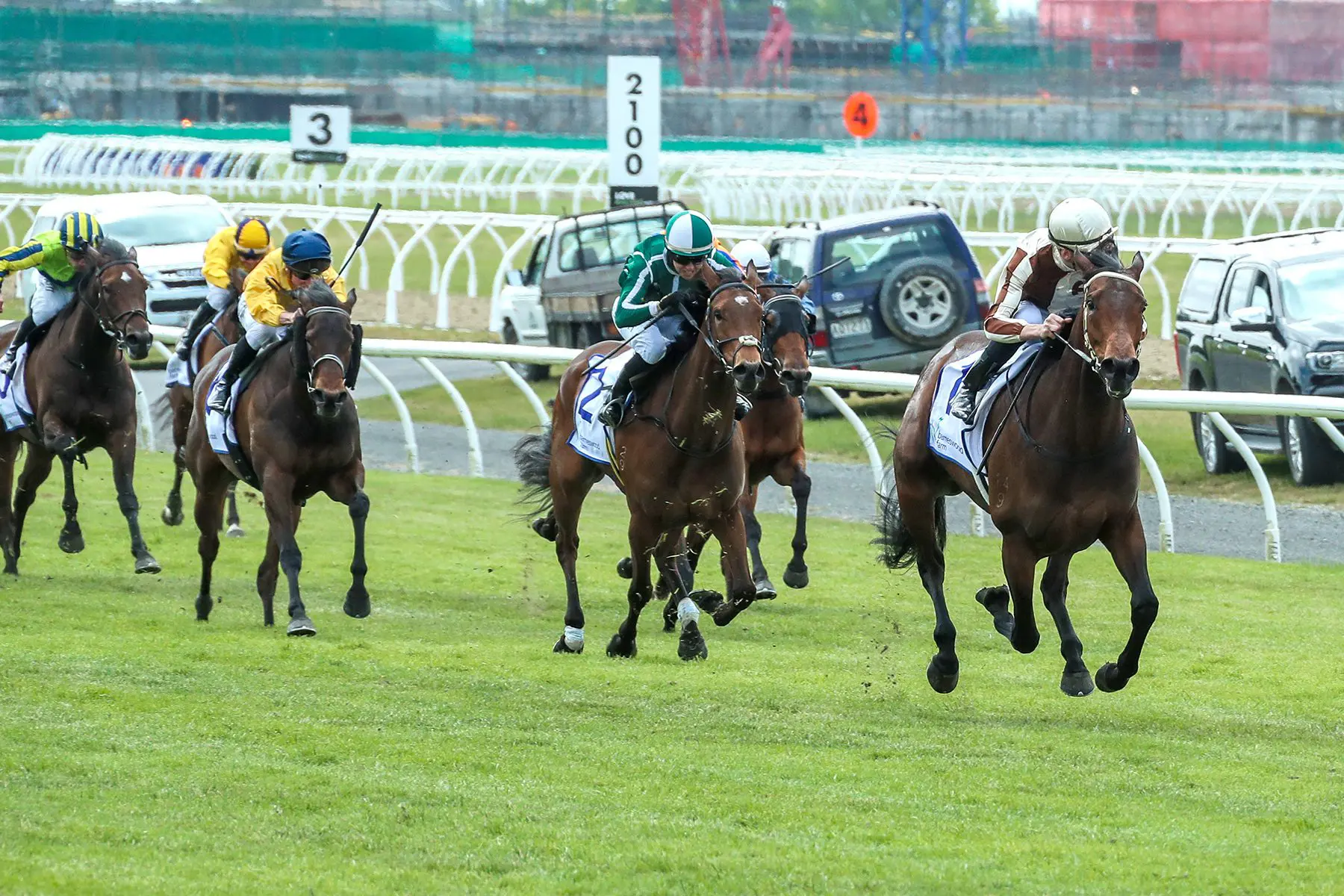 what is 1000 guineas 0049