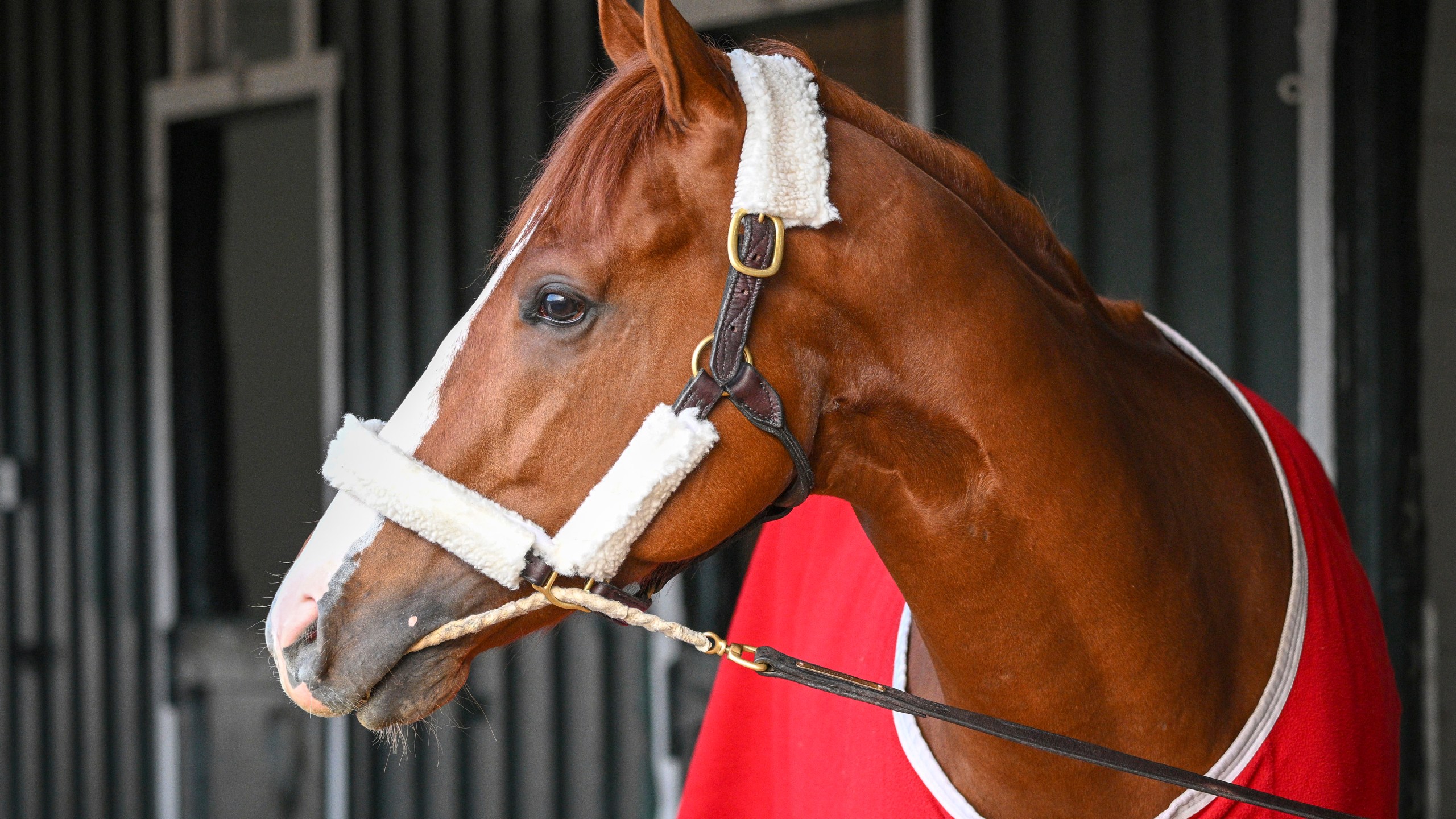 what number was mage kentucky derby 0014