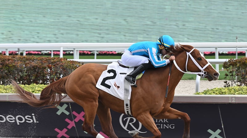 what number was mage kentucky derby 0039