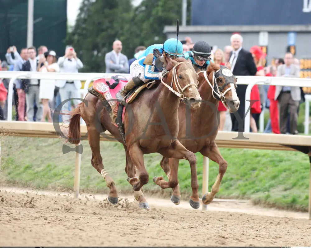 what number was mage kentucky derby 0040