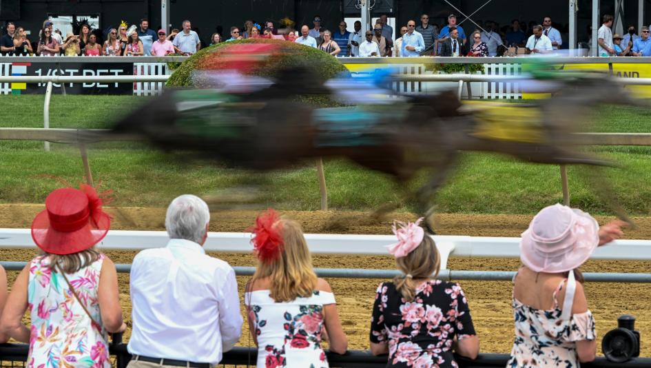 when is pimlico 2023 0010