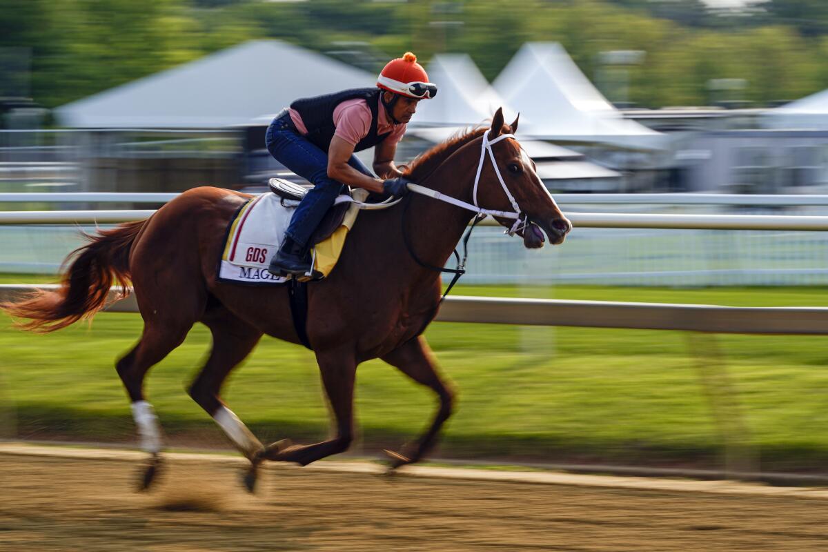 when is pimlico 2023 0012