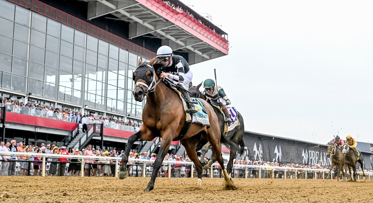 when is pimlico 2023 0019