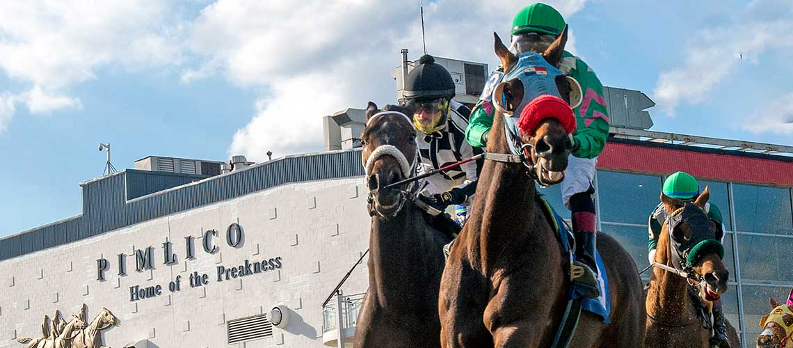 when is pimlico 2023 0024