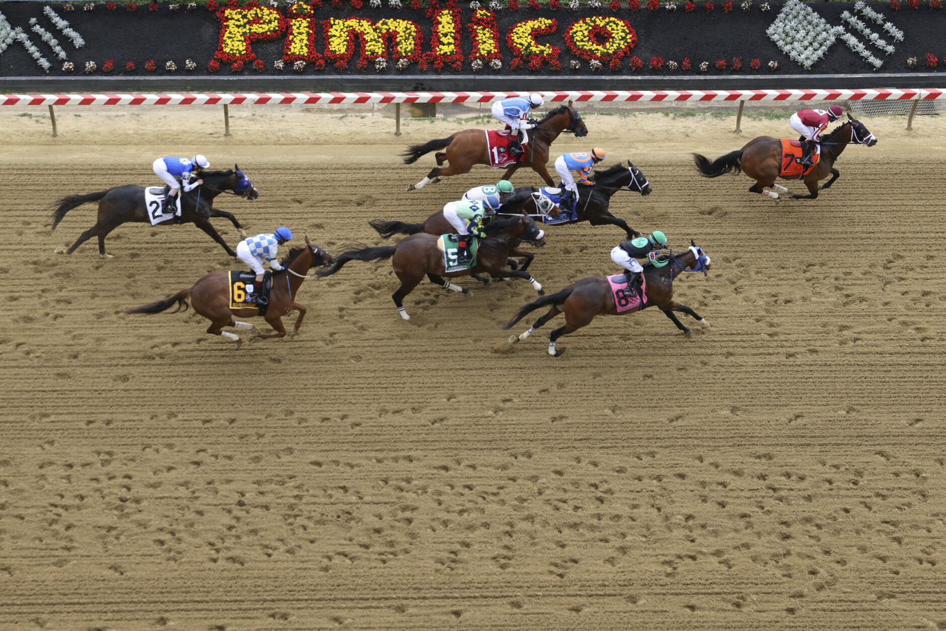 when is pimlico 2023 0027