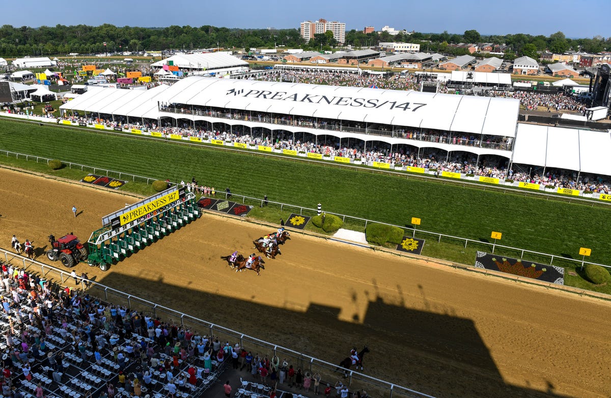 when is pimlico 2023 0033