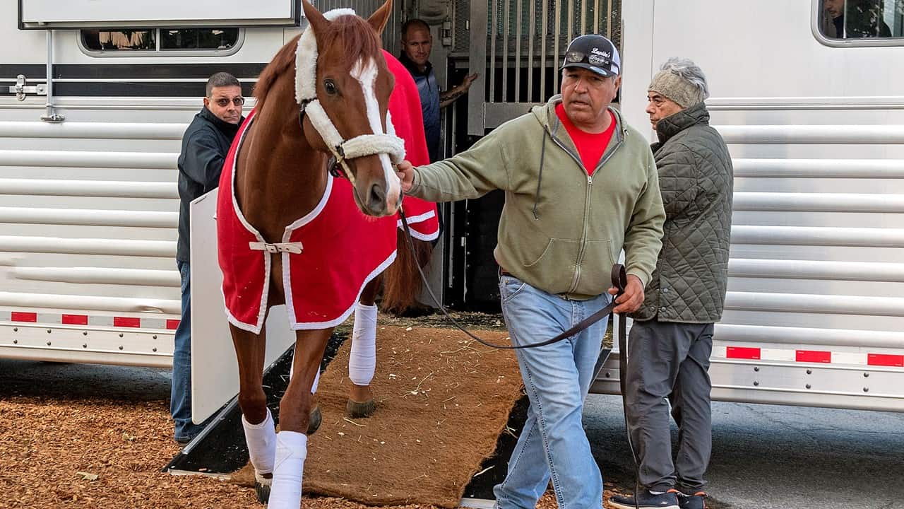 when is pimlico 2023 0034