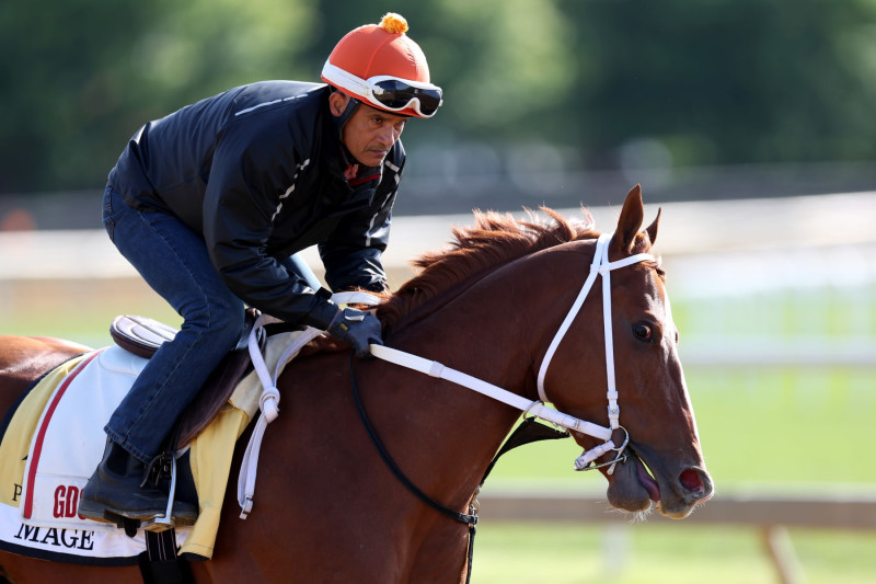 when is pimlico 2023 0042