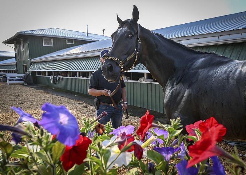 when is pimlico 2023 0046
