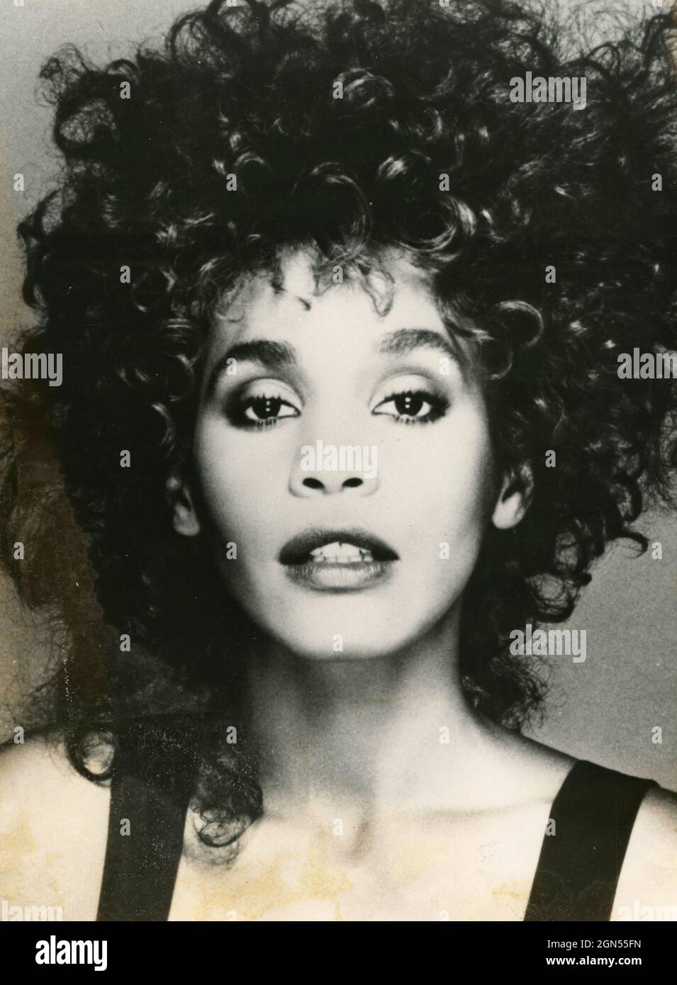Whitney Houston legacy through portraits.