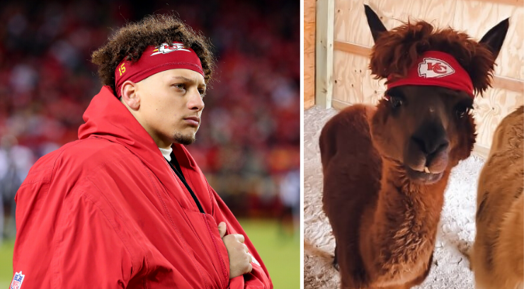 who does patrick mahomes look like 0019