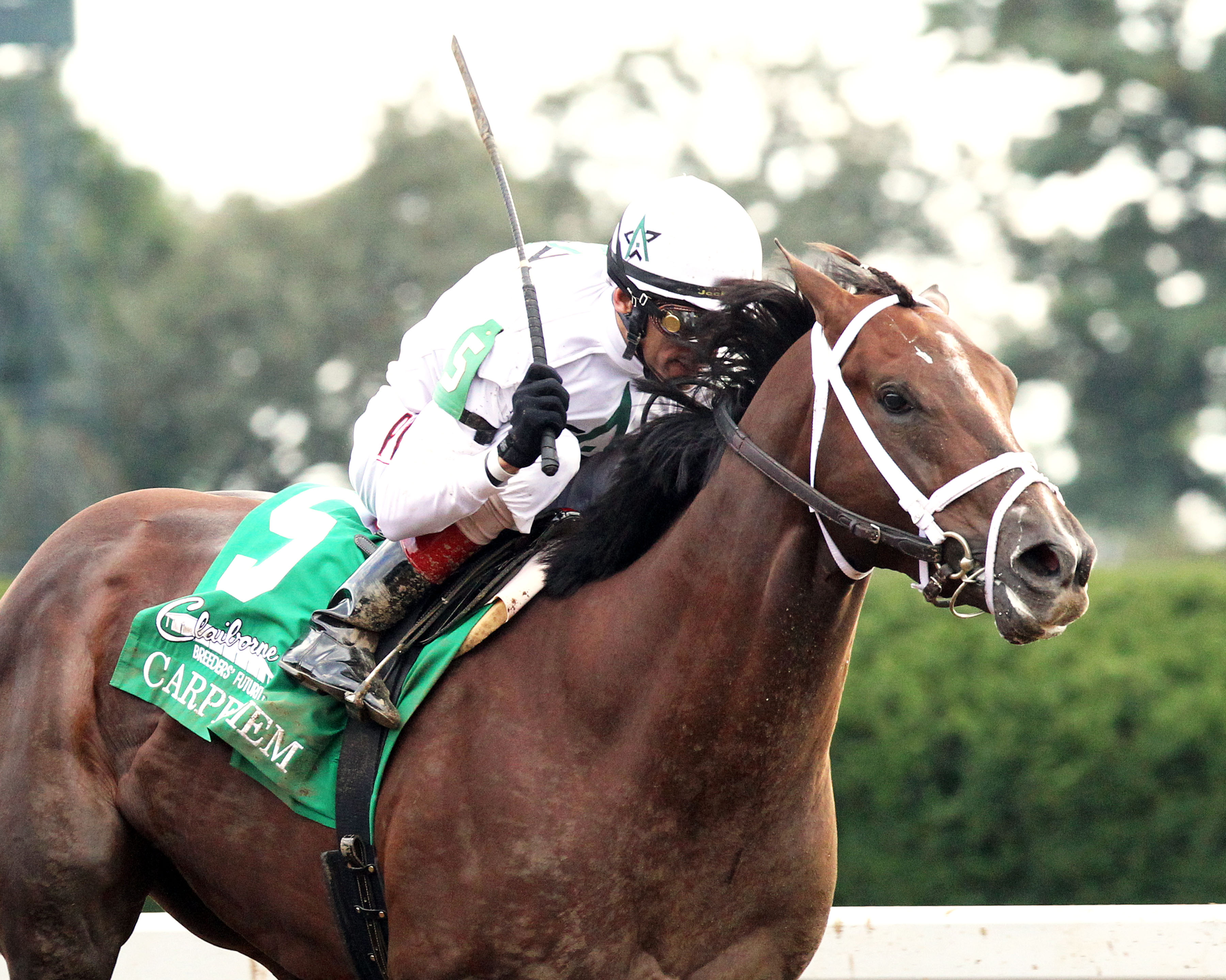 who was the winner of the kentucky derby in 2015 0020