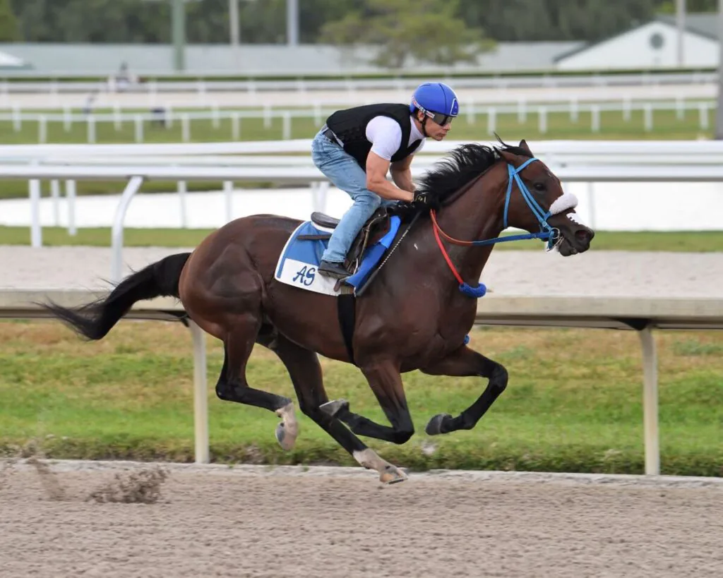 who was the winner of the kentucky derby in 2015 0036