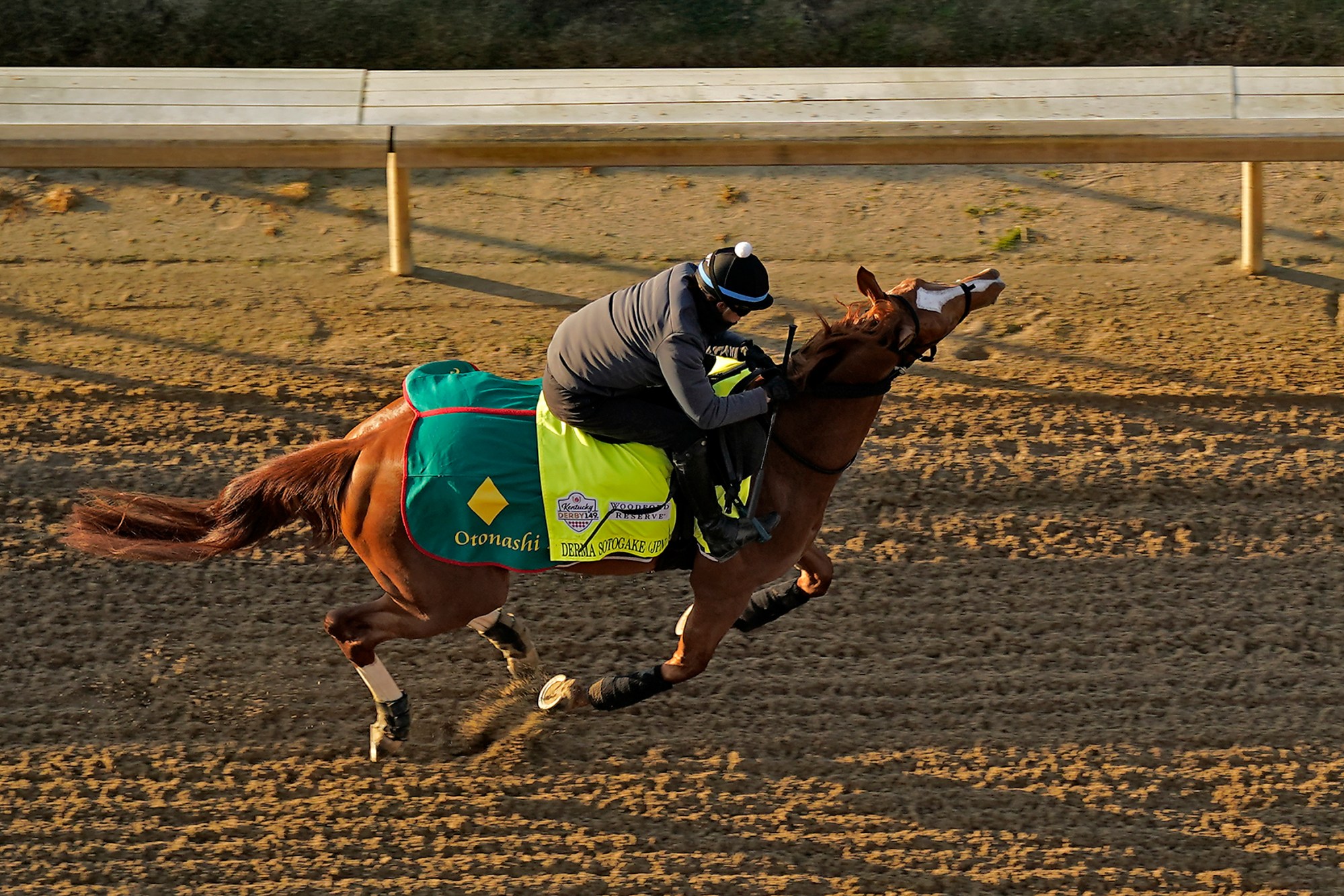 who won the 149th kentucky derby 0012