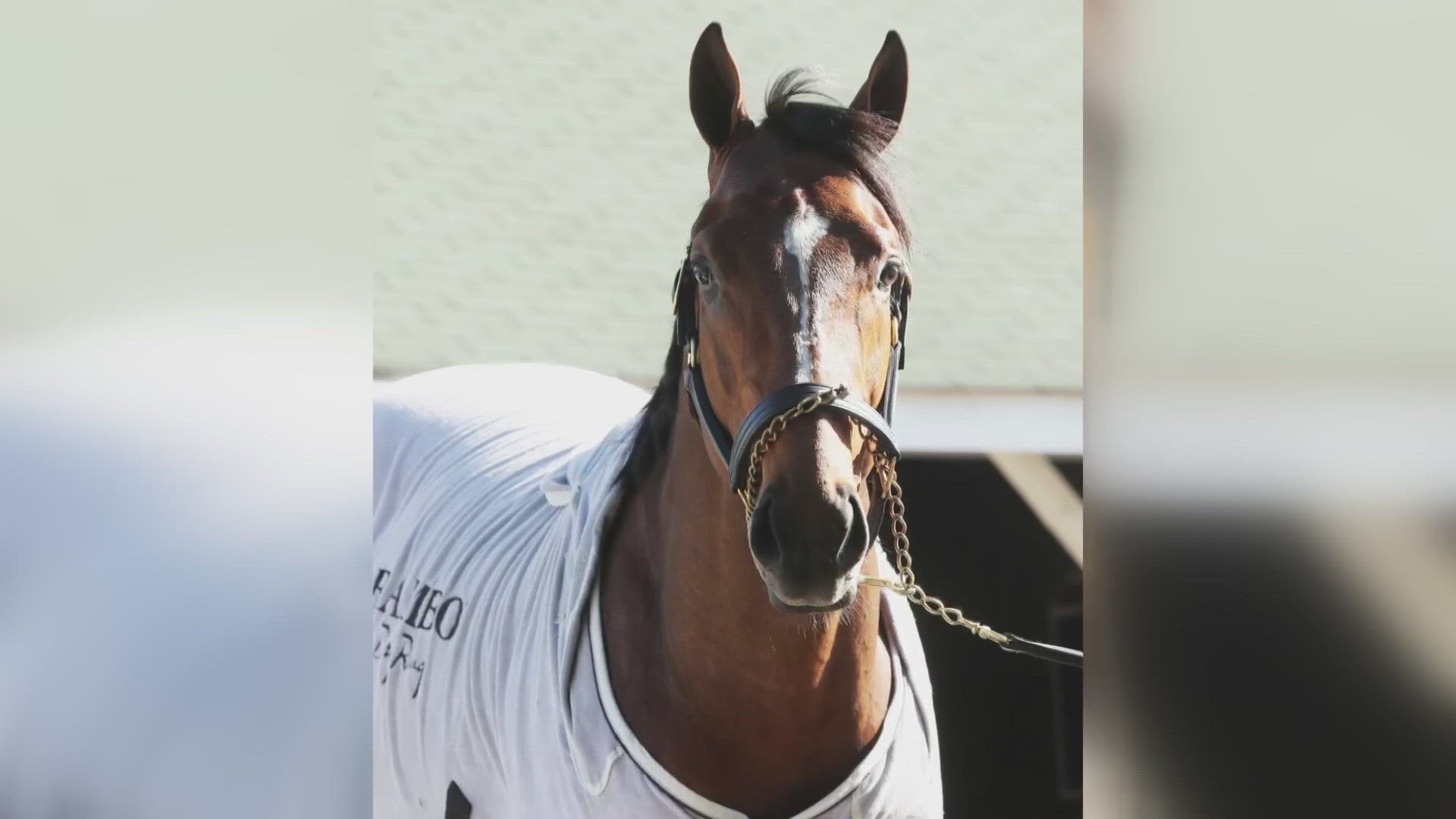 who won the 149th kentucky derby 0038