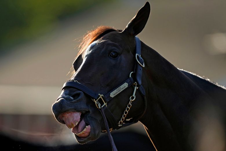 who won the 149th kentucky derby 0045