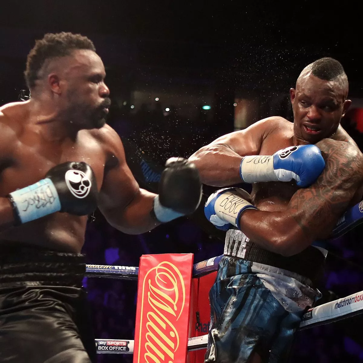 whyte vs chisora 0040