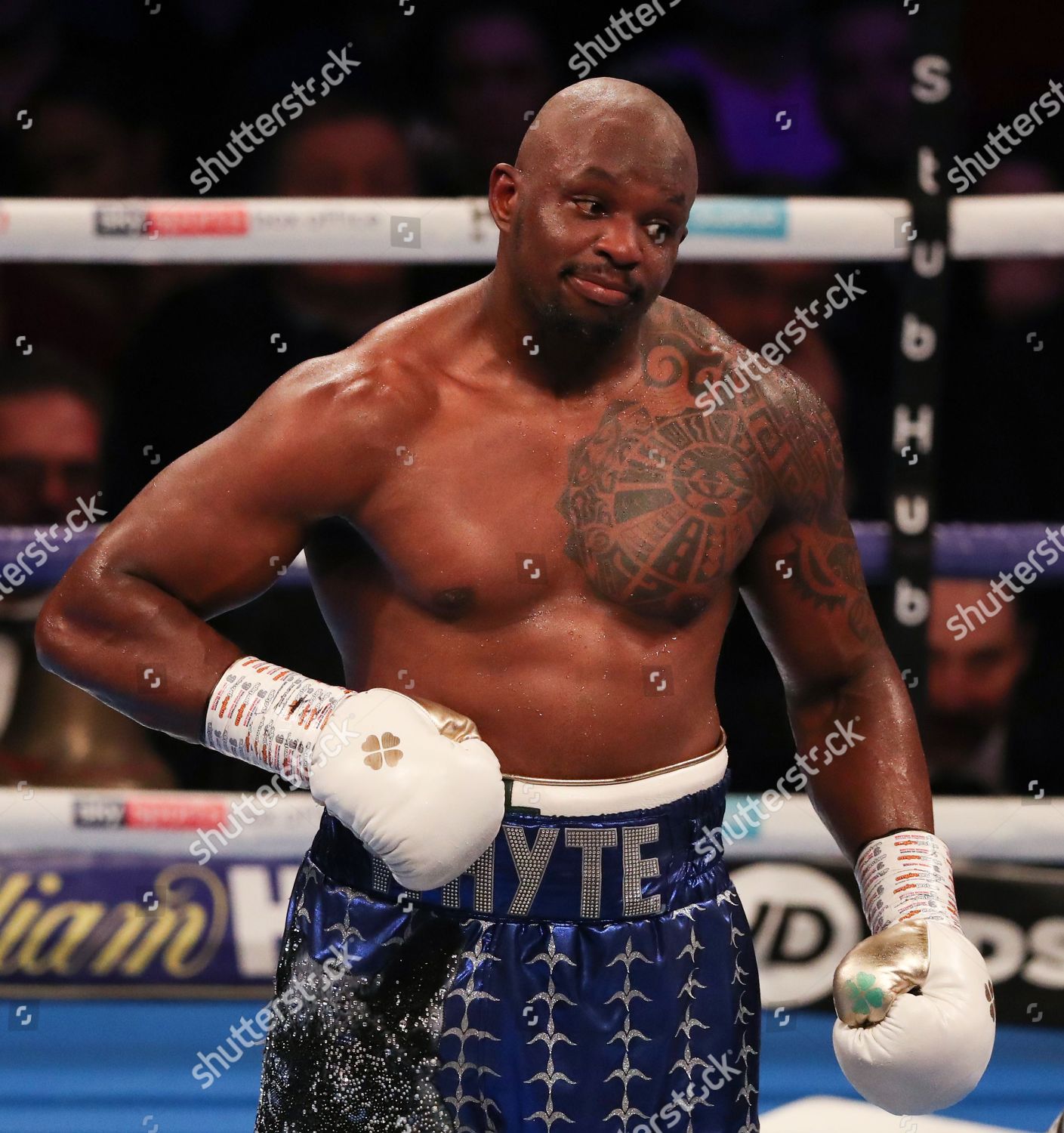 whyte vs chisora 0049