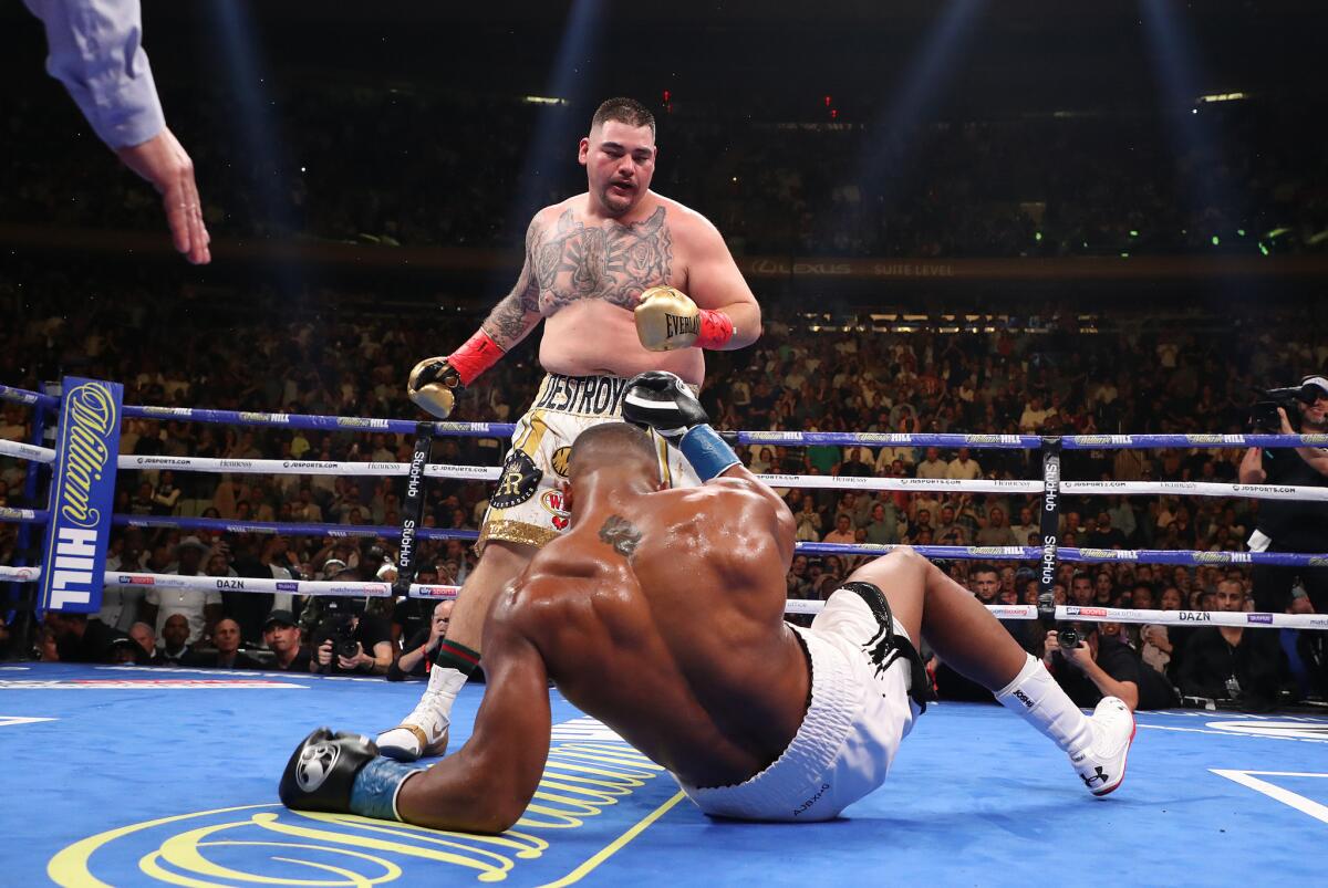 wilder knocks down fury 0049