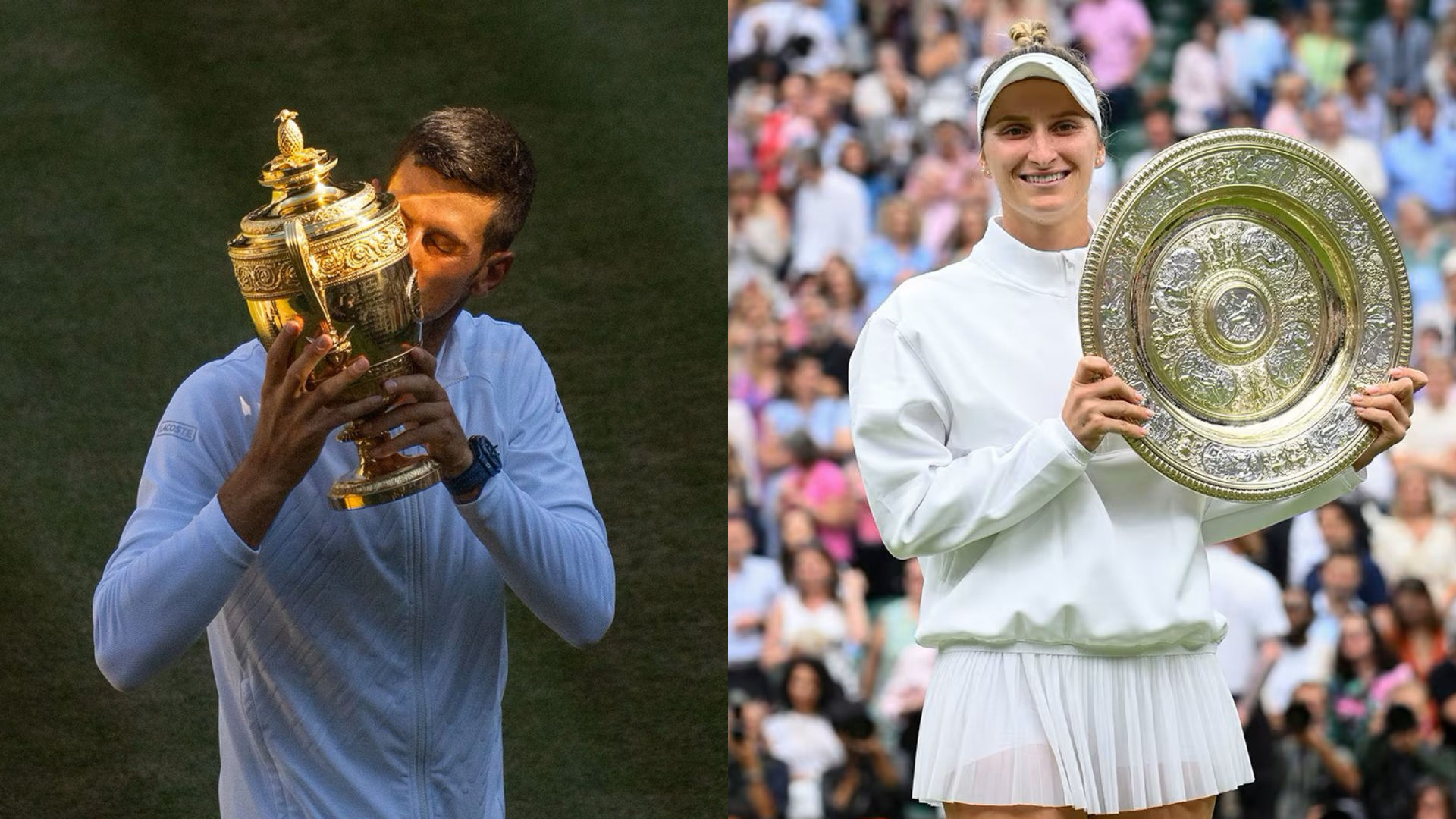 wimbledon 2022 winner male 0044