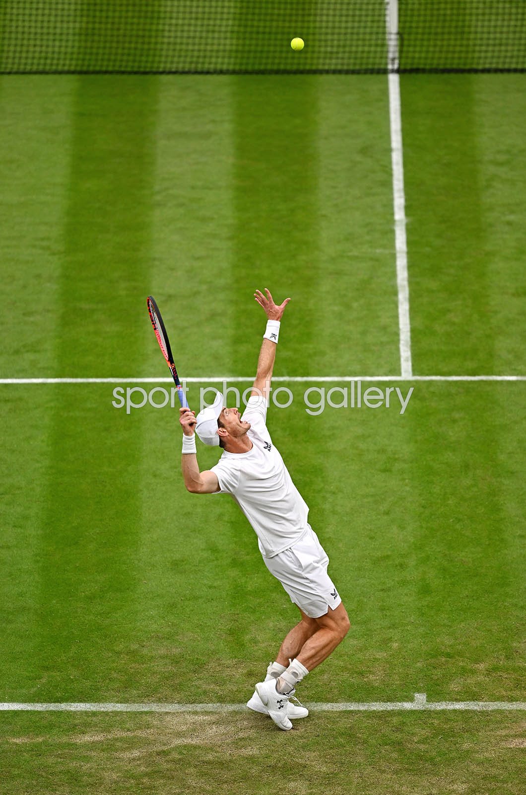 wimbledon 2023 andy murray 0020