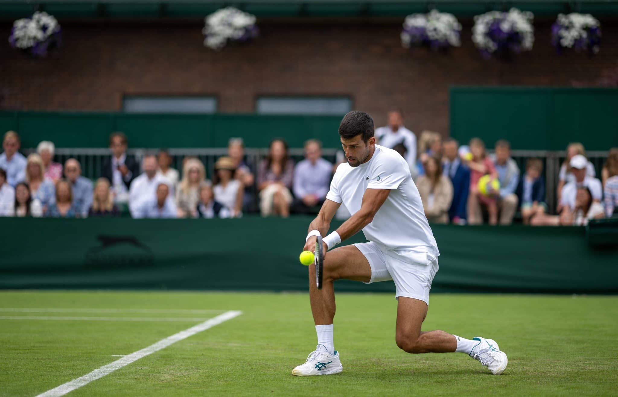 Wimbledon 2023 fan experiences