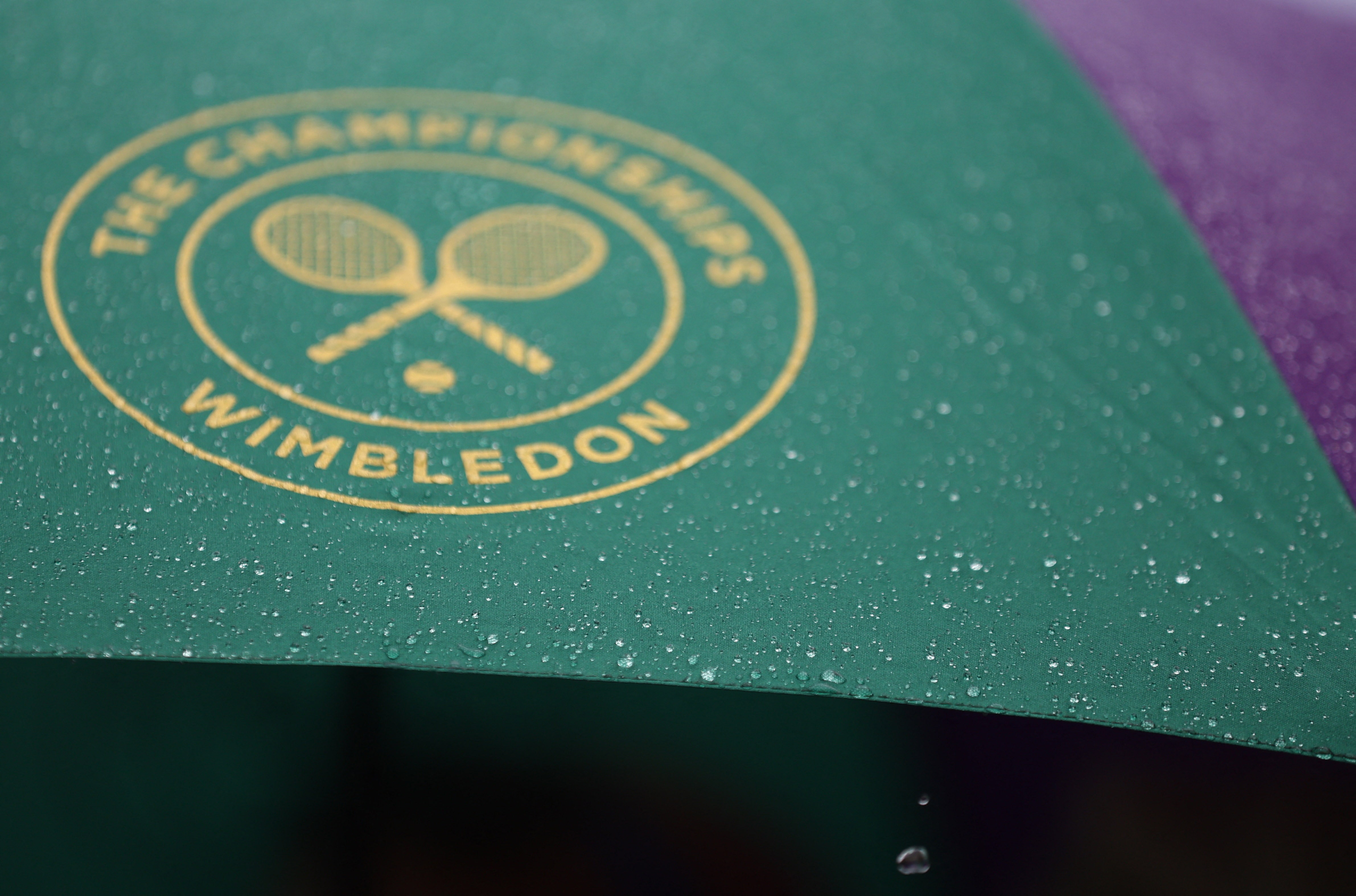 wimbledon 2023 logo 0030