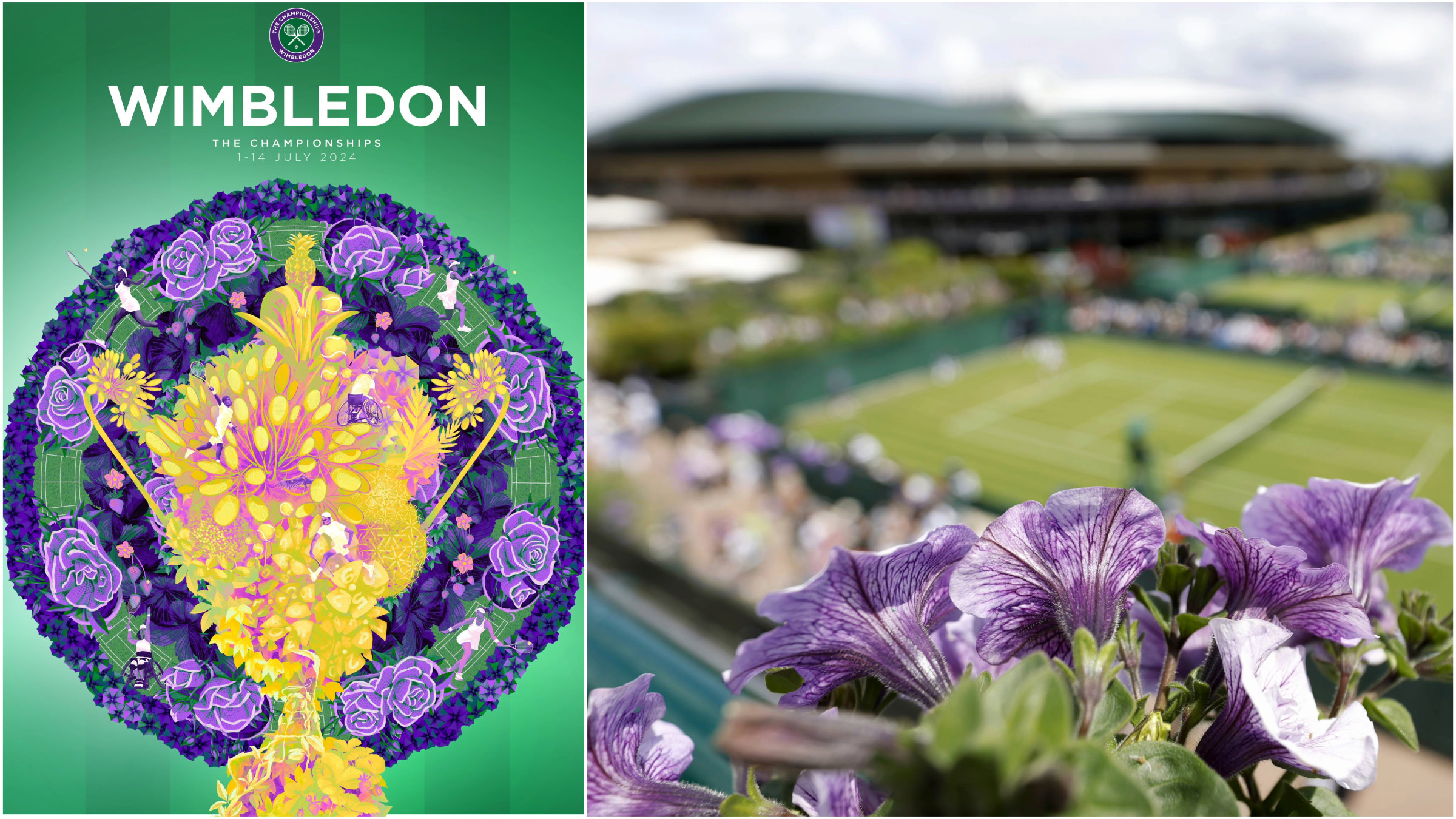 wimbledon artwork 0015