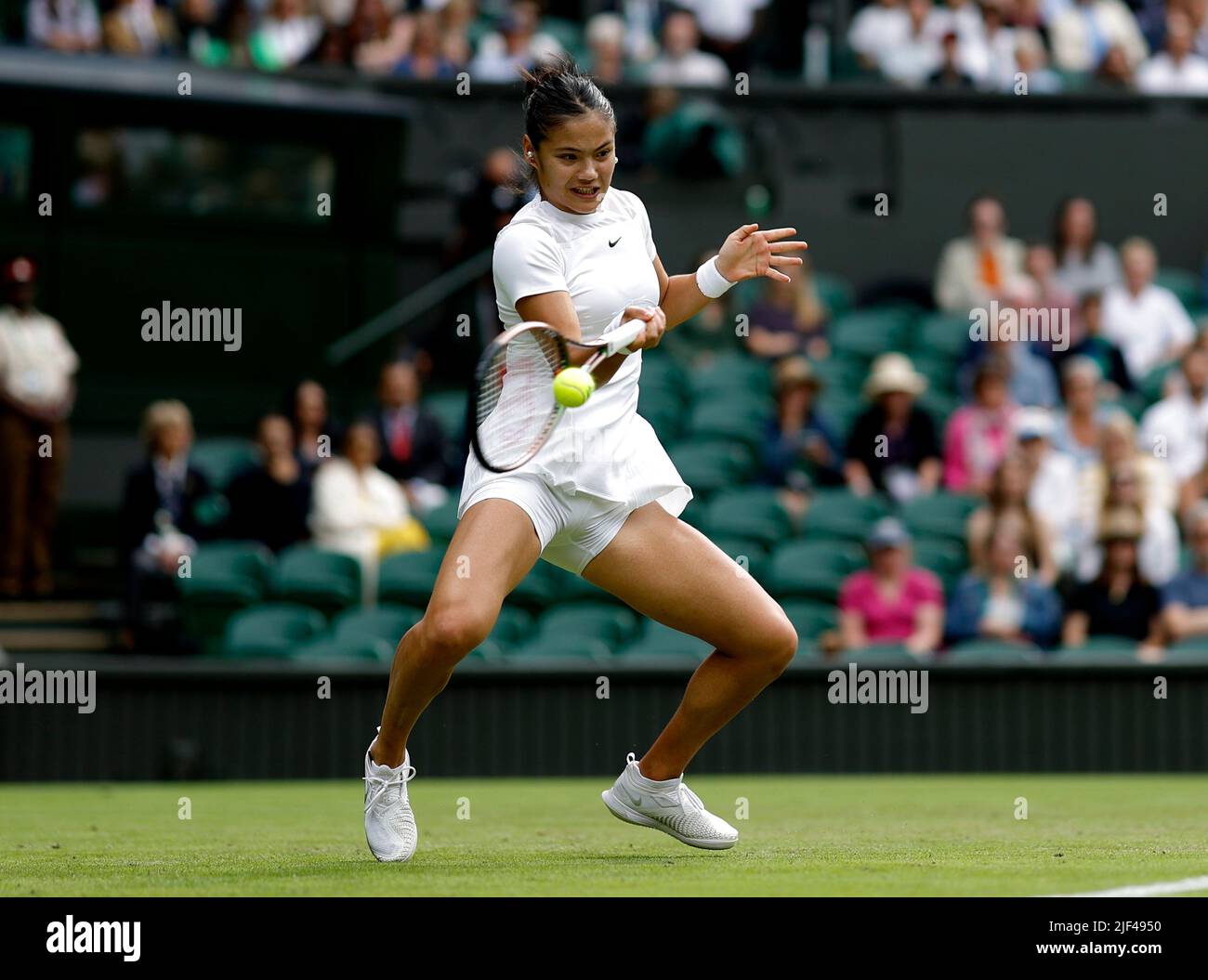 wimbledon artwork 0036