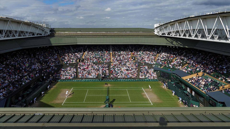 Wimbledon singles champions 2022